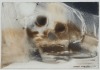 GARRY CURRIN untitled
