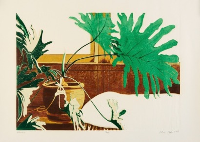 COLIN COKE Monstera