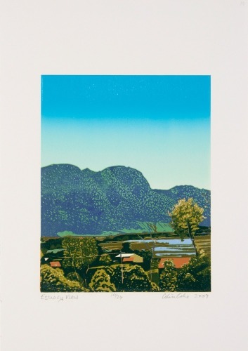COLIN COKE Estuary view