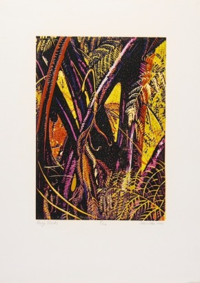 COLIN COKE Ponga Fronds