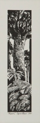 DAWN MANN Kauri