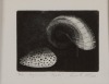 LOIS MCIVOR Shells