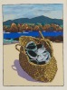 TOM BURNETT Paua