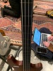 A Maton Bass JB IV - 5