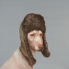 JOANNA BRAITHWAITE Dog's Life
