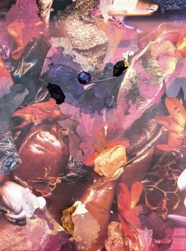 ANDR&Eacute; HEMER Skyscape/Flora