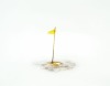 ANNE NOBLE Piss Poles, Antarctica, Aurina #1
