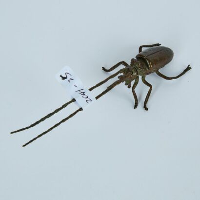 A Japanese Bronze Insect Ornament, c. 20th-Century