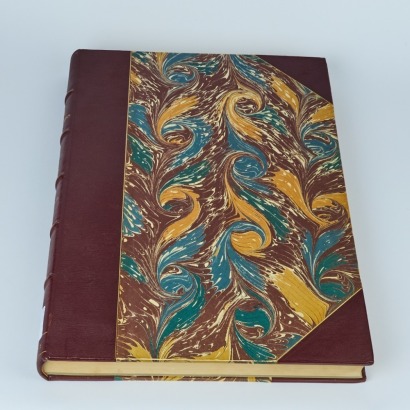 The New Zealanders Illustrated 1846-47 by George French Angas