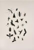 RICHARD KILLEEN untitled