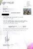 14ct Yellow Gold, 12mm South Sea Pearl Earrings - 2