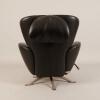 A Dodo Armchair by Toshiyuki Kita for Cassina - 4