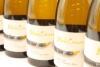 (5) 2017 Blank Canvas Wines 'Abstract' Sauvignon Blanc, Marlborough - 2