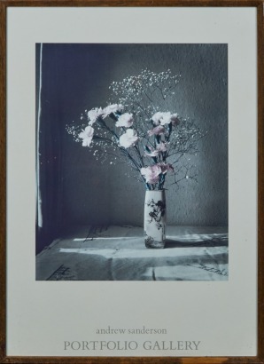 A Framed Print Carnations and Gypsophila by Andrew Sanderson Portfolio Gallery