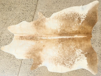 A Cowhide Rug