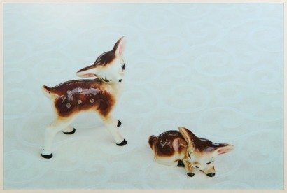 A Framed Print of Two Deer