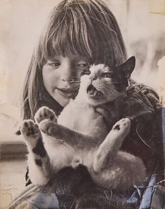 MARTI FRIEDLANDER untitled