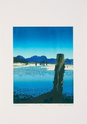 COLIN COKE Winter Beach