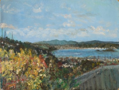 JEAN BLENNERHASSETT untitled (Wellington Harbour View from Messings Road, Karori)