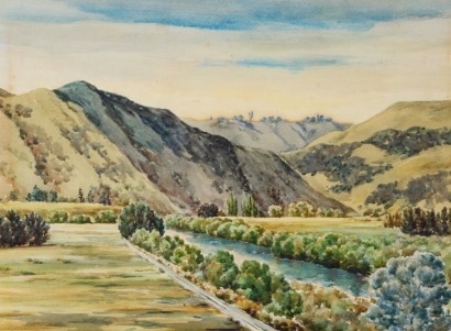 TOM SPERRING Hawkes Bay Scene