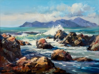 COLIN WYNN Pukerua Bay