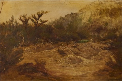 CHARLES BLOMFIELD Boiling Mud Pools, Whakarewarewa