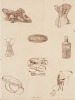 FIONA PARDINGTON Sublimate.