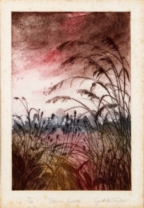 CYNTHIA TAYLOR Storm Grass