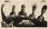 JENNY DOLEZEL The Dinner Party