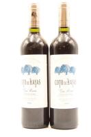 (2) 2009 Bodegas Aragonesas Coto de Hayas Gran Reserva, Campo de Borja