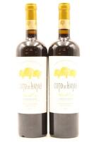 (2) 2011 Bodegas Aragonesas Coto de Hayas 'Vinas del Cierzo', Campo de Borja