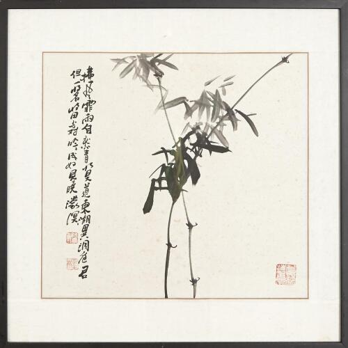 Two Framed Chinese Paintings - Prunus & Bamboo