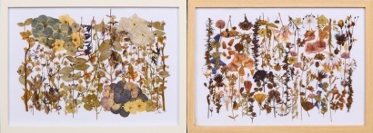 A Pair Of Framed Dried Flower Pictures