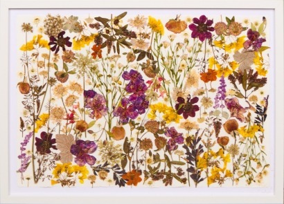 A Dried Flower Picture