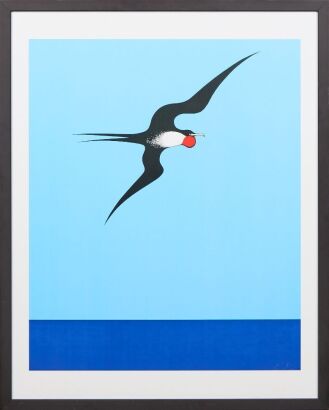 DON BINNEY Pacific Frigate Bird Print