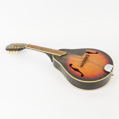An A-Style Harmony Mandolin