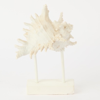A Faux Murex Seashell