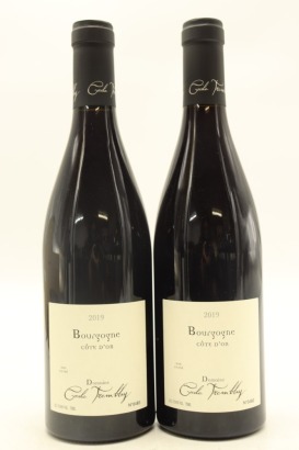 (2) 2019 Domaine Cecile Tremblay Bourgogne Cote d'Or Rouge, Burgundy [JR16.5]&diams;
