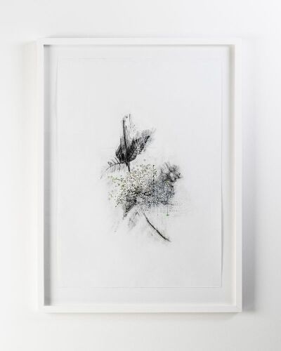 EMMA FEBVRE-RICHARDS The Garden of Us