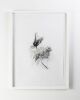 EMMA FEBVRE-RICHARDS The Garden of Us