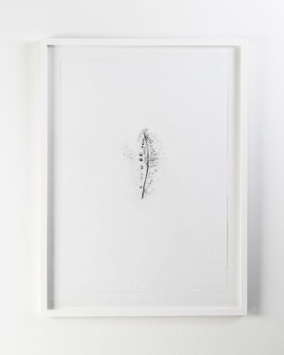 EMMA FEBVRE-RICHARDS The Fading