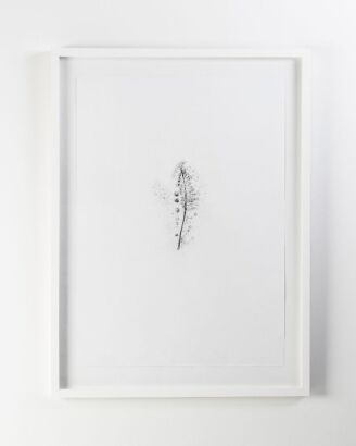 EMMA FEBVRE-RICHARDS The Fading