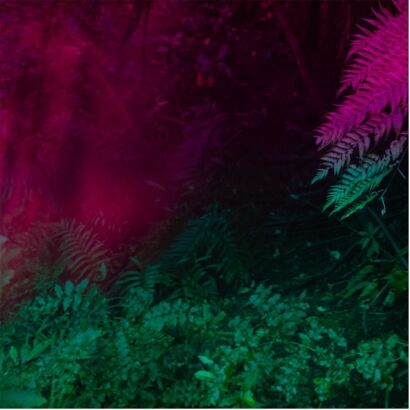 GABBY O'CONNOR High Fern and Tutu (Magenta and Green)