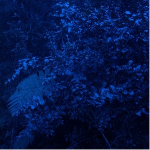 GABBY O'CONNOR High Fern and Tutu (Midnight Blue)