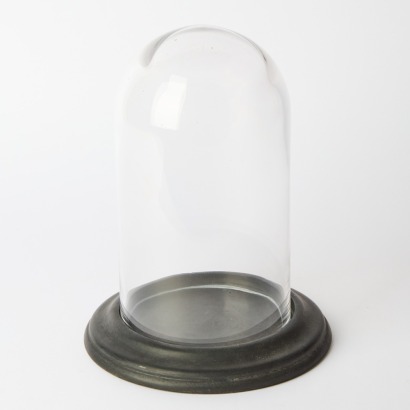 A Glass Display Dome & Stand