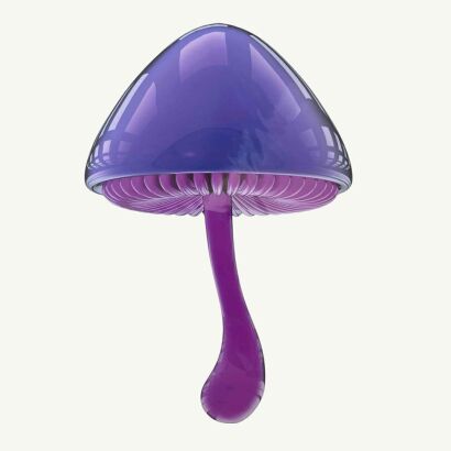 HYE RIM LEE Purple Mushroom