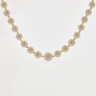 Mikimoto, Vintage, 55cm Graduated Pearl Necklace / Sterling Silver Clasp with Box