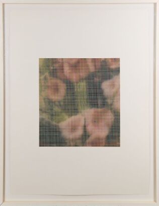 JAMES COUSINS Untitled