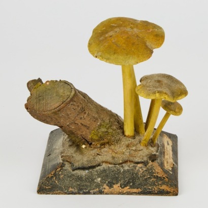 A Vintage Mushroom Model