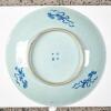 A Chinese Blue and White &lsquo;Dragon&rsquo; Plate (Daoguang Nian Zhi Mark) - 2